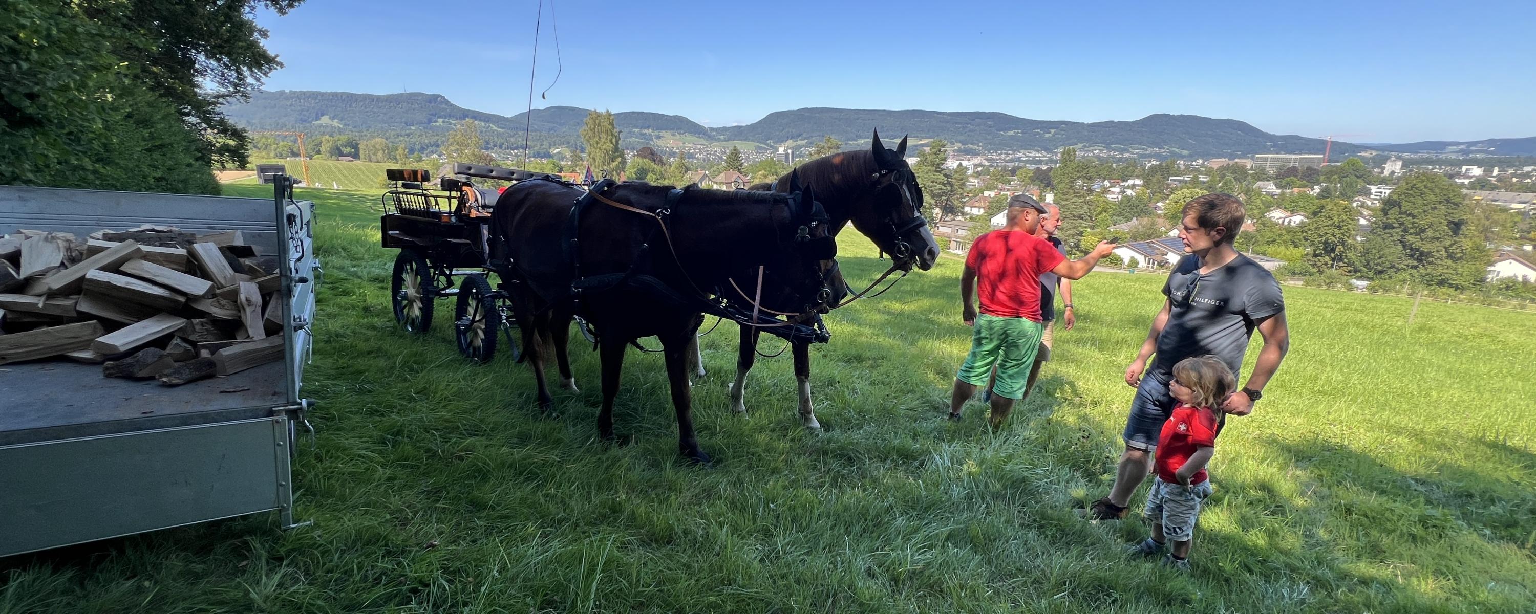 Bräteln bei der Friedenslinde